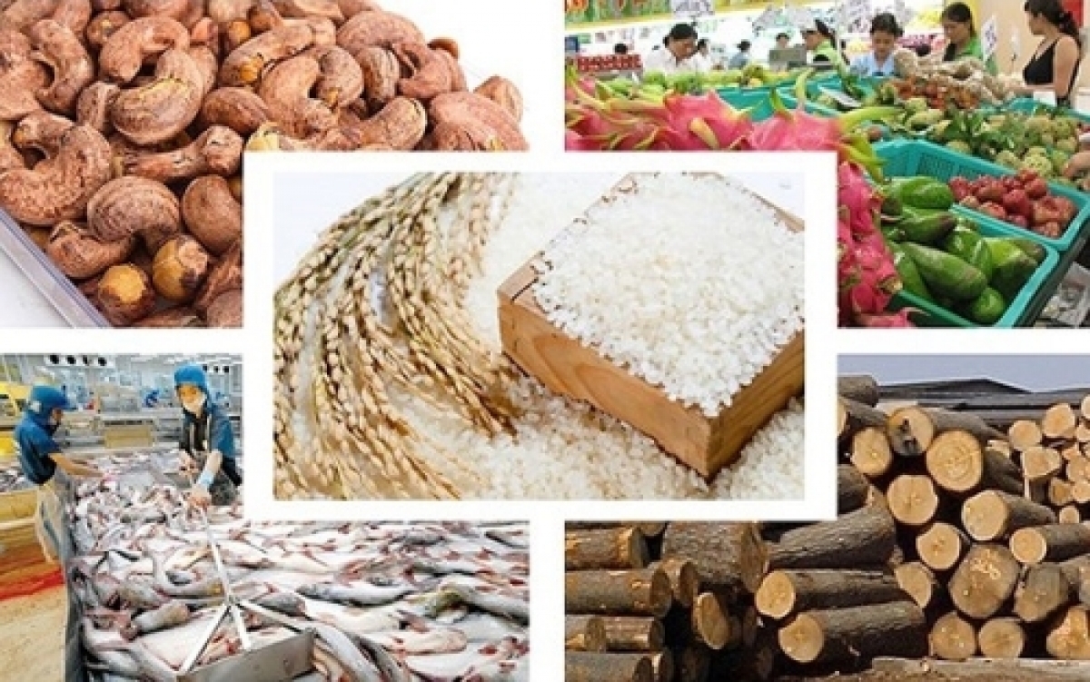 Sản xuất nông, lâm nghiệp và thủy sản quý III và 9 tháng năm 2023 duy trì tăng trưởng ổn định